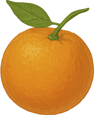 Vitamin C